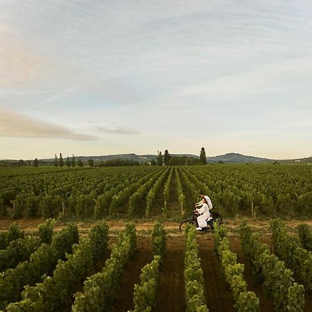 Como Le Montrachet Пюлиньи-Монраше Экстерьер фото