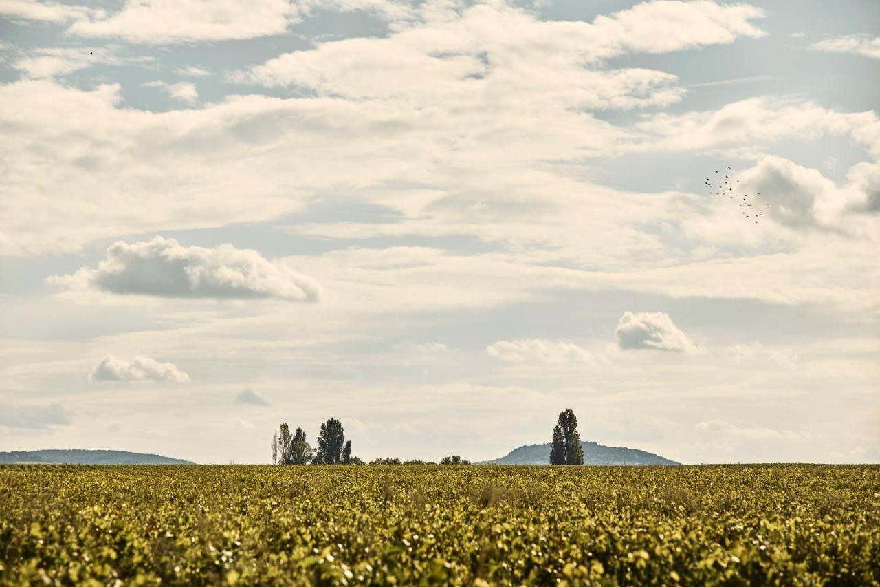 Como Le Montrachet Пюлиньи-Монраше Экстерьер фото
