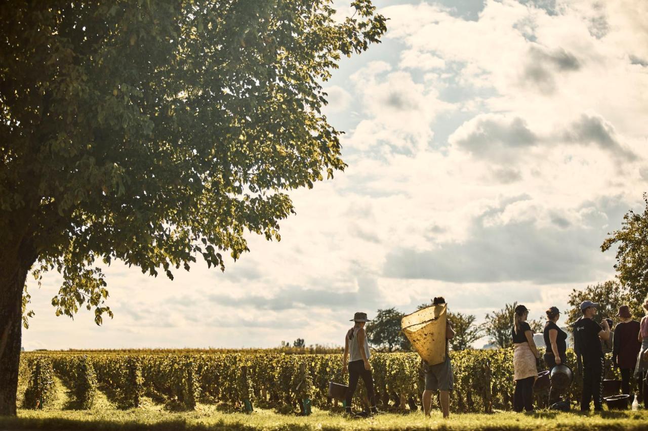 Como Le Montrachet Пюлиньи-Монраше Экстерьер фото
