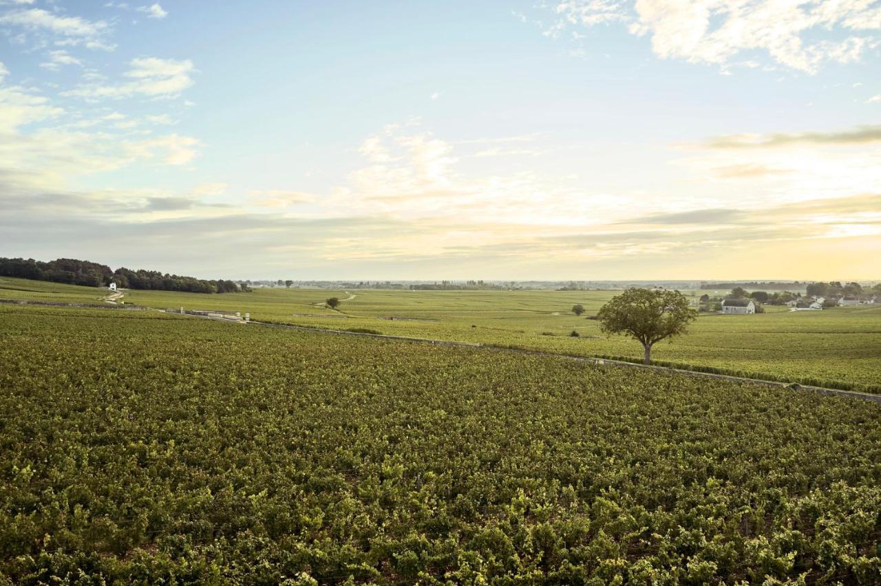 Como Le Montrachet Пюлиньи-Монраше Экстерьер фото