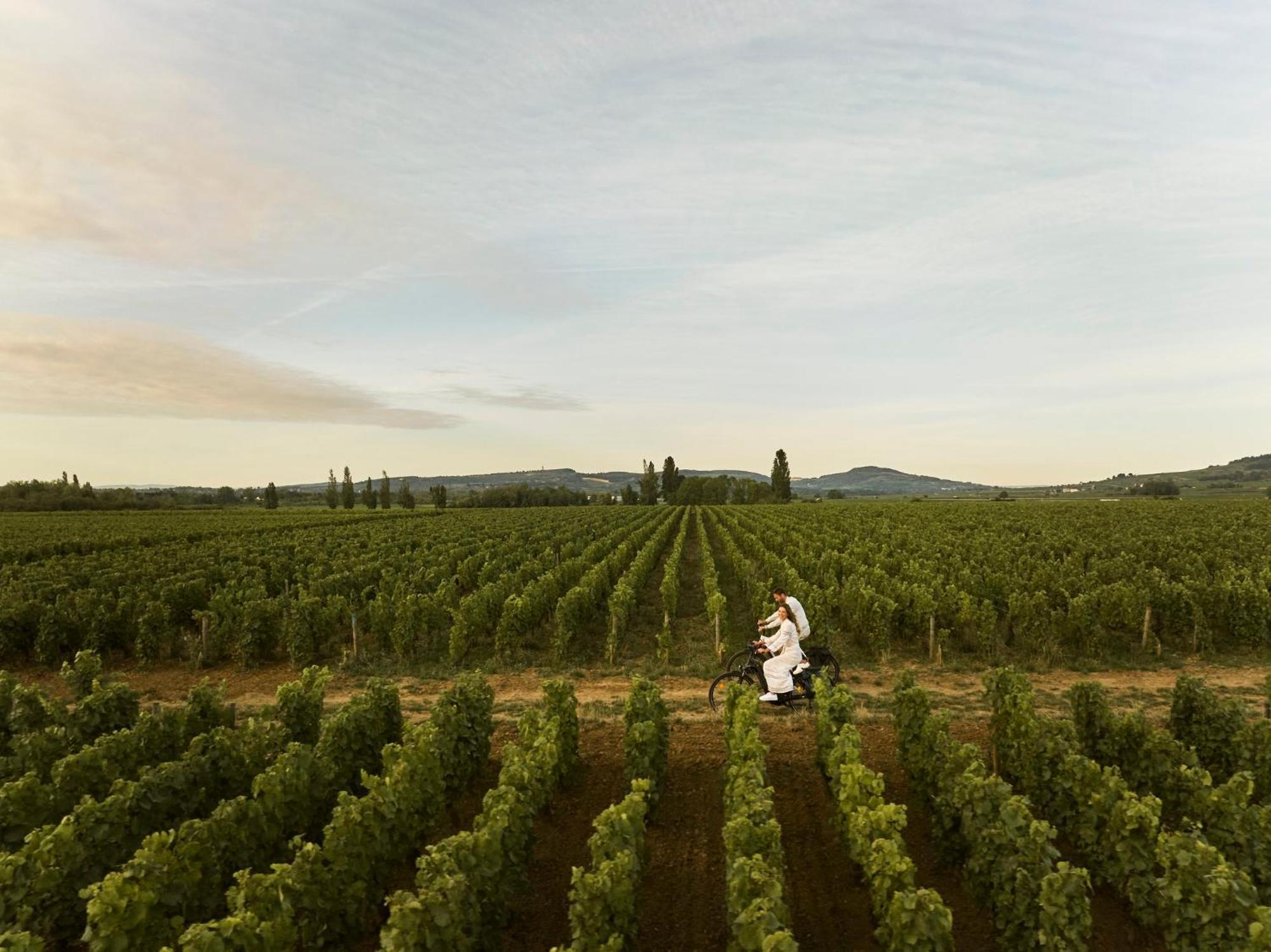 Como Le Montrachet Пюлиньи-Монраше Экстерьер фото