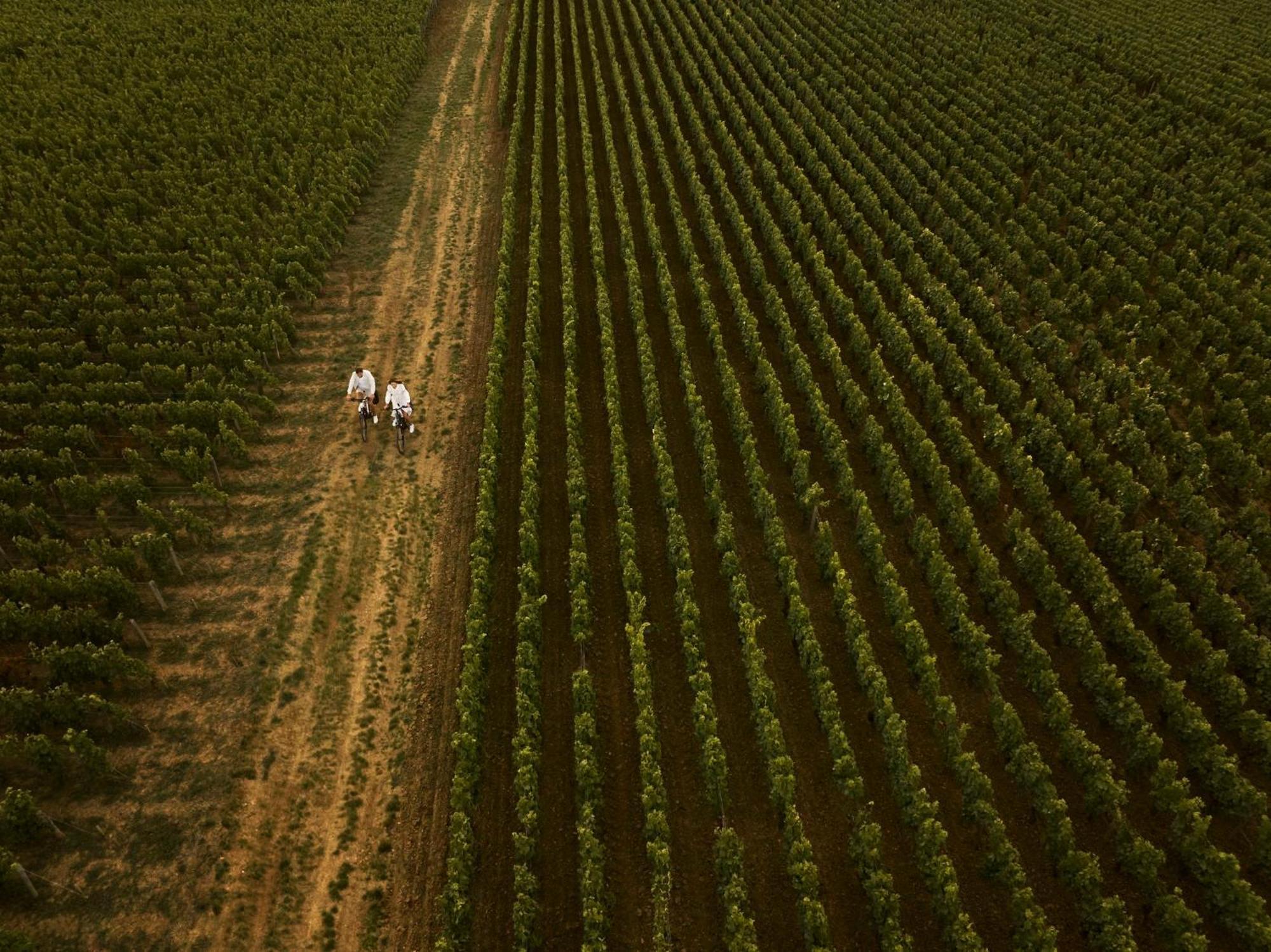 Como Le Montrachet Пюлиньи-Монраше Экстерьер фото